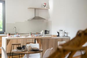 阿尔本加Villa Essenza - Rooms and Breakfast的厨房配有桌子和带水槽的台面