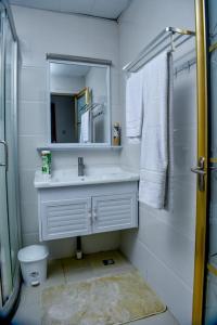 内罗毕Luxe的白色的浴室设有水槽和镜子