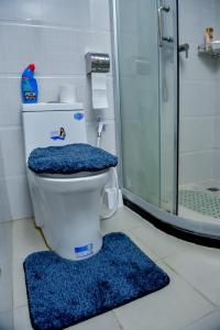 内罗毕Luxe的浴室设有蓝色地毯和卫生间。