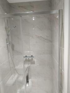 都柏林Oceanik的浴室里设有玻璃门淋浴