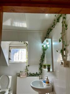 阿拉德Cabana Oana 5-bedrooms chalet的一间带水槽、卫生间和镜子的浴室
