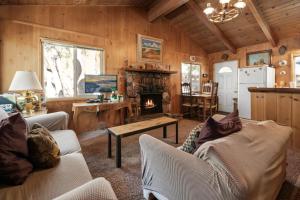 方斯金Owl Cabin - Sierra style cabin located on a quiet road in Fawnskin and backs up to National Forest!的小屋内带壁炉的客厅