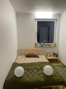 哥德堡Cozy room in a shared apartment close to nature的一间卧室设有一张大床和窗户