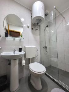 贝尔格莱德Guesthouse Ožegović的浴室配有卫生间、盥洗盆和淋浴。
