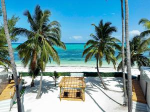 平圭The Zanzibar Beach House-South的棕榈树海滩和海洋