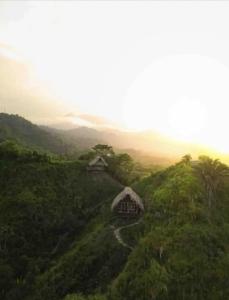 洛斯纳兰霍斯Cabaña Vista al Mar Tayrona, A/C的树上山顶的房子