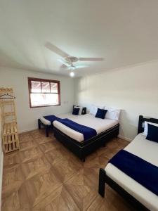 帕萨夸特鲁Hostel Passa4的一间卧室配有两张床和吊扇
