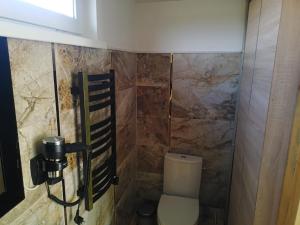 Ogres-ZiediPapardes的一间带卫生间和淋浴的浴室