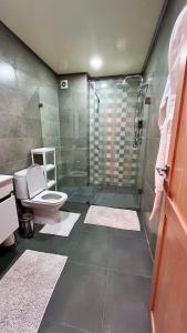 达布阿扎Welcome to your happy place !的带淋浴和卫生间的浴室