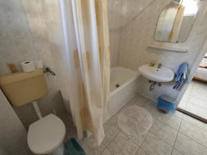 包道乔尼托毛伊Badacsonyi családi privát házak的一间带卫生间和水槽的小浴室