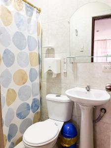 曼塔Luz de Aurora HOTEL的一间带卫生间、水槽和镜子的浴室