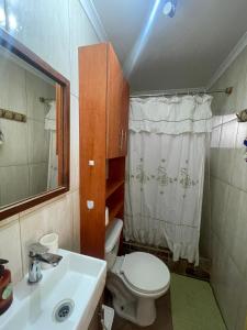 塔尔卡Casa Talca的一间带卫生间、水槽和镜子的浴室