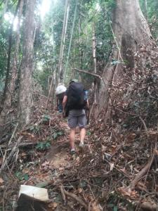 邦隆Ratanakiri Lakeside Homestay & Tours的两个人沿着森林的小径走
