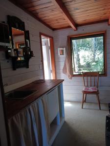 怀蒂昂格The Annex的小屋内的厨房配有水槽和椅子