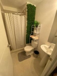危地马拉Apartamento e109的一间带卫生间和水槽的小浴室