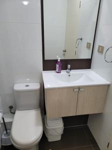 塔尔卡瓦诺Departamento Brisa del sol的一间带卫生间、水槽和镜子的浴室