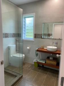 拉罗汤加Are'ora - the house for living的一间带水槽、卫生间和镜子的浴室