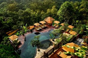 帕洋安Nandini Jungle by Hanging Gardens的享有带游泳池的度假村的空中景致