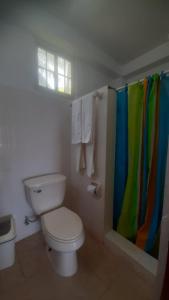 Juan GallegoKame House的浴室设有卫生间和彩虹浴帘
