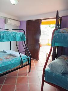 Juan GallegoKame House的一间客房内配有两张双层床的房间