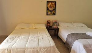Juan GallegoKame House的客房设有两张床和一张墙上的桌子。