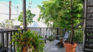 圣胡安Caribe Rentals的阳台配有两把椅子和一棵树