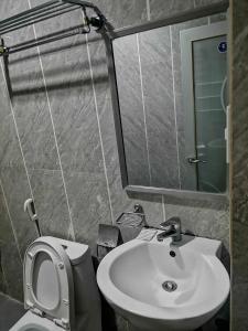 MidsayapAsia Novo Boutique Hotel - Midsayap的一间带水槽、卫生间和镜子的浴室