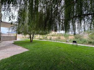 奇姆肯特Saule Guest House的草地上有一个长凳和一棵树的公园
