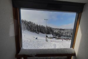 帕莱Ravna Planina的从窗户可欣赏到滑雪场的景色