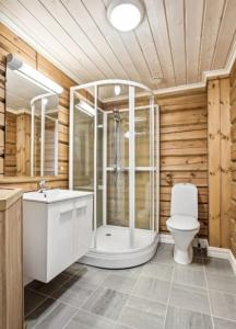 BjorliBjorliKos的带淋浴、卫生间和盥洗盆的浴室
