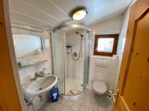 朗根费尔德Apartment Seespitz的带淋浴、盥洗盆和卫生间的浴室