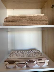 基希讷乌Studio for rent的衣柜内两个带毛巾和毛巾的架子