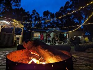 Dadswells BridgeTiny House 14B at Grampians Edge的火坑,晚上有肉