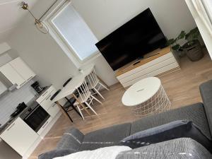 波尔沃Riverside cozy flat in Porvoo的带沙发和平面电视的客厅