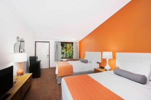 威尔明顿威尔明顿豪生国际快捷酒店的酒店客房设有两张床和橙色的墙壁。