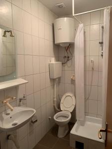 科拉欣Vila Rakoč的一间带卫生间和水槽的小浴室