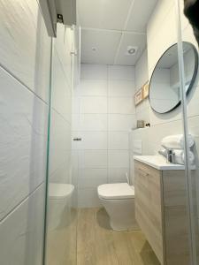 马德里Luminoso, cómodo y buena zona的一间带卫生间、水槽和镜子的浴室