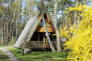 奥斯特西巴德钦诺维茨Zinnowitz, Finnhütte am Ostseestrand的树林中的小屋,带圆锥形帐篷