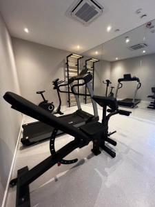 第比利斯TbiliSee Hotel的健身房设有两台跑步机和镜子