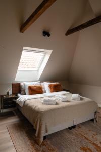 NoordlarenPieks Noordlaren的一间卧室配有一张带天窗的大床