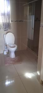 勒迪格Tsoga Odire BNB的一间带卫生间和淋浴的浴室