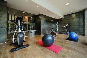 维塞乌格劳瓦斯科酒店的健身房提供健身自行车和健身球