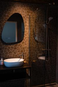 NoordlarenPieks Noordlaren的浴室配有盥洗盆和带镜子的淋浴