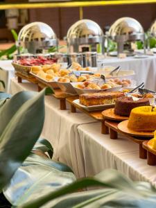 戈亚尼亚卡斯特罗公园酒店的餐桌上装有盘子的自助餐