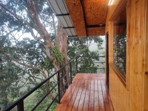 科代卡纳尔Kelvin Eva wood house的木甲板享有树木美景