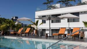 迈阿密海滩Uma House by Yurbban South Beach的一组椅子和遮阳伞,位于游泳池旁