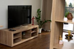 班斯卡-比斯特里察Apartman A&M的木质娱乐中心设有带平面电视的客厅。