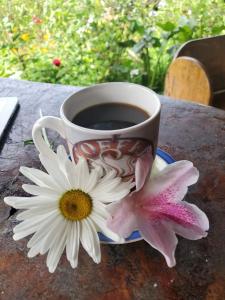 埃斯特利芬卡奈比那德尔博斯克山林小屋的桌上放着一杯咖啡和两朵鲜花