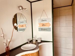 Saint-Jean-Saint-Maurice-sur-LoireLes Yourtes Ô fil 2 l'eau的一间带水槽和镜子的浴室
