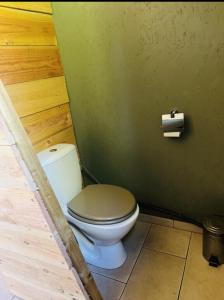 OliveseCabane的浴室设有卫生间和一卷卫生纸